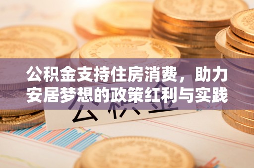 四湖公积金支持住房消费，助力安居梦想的政策红利与实践