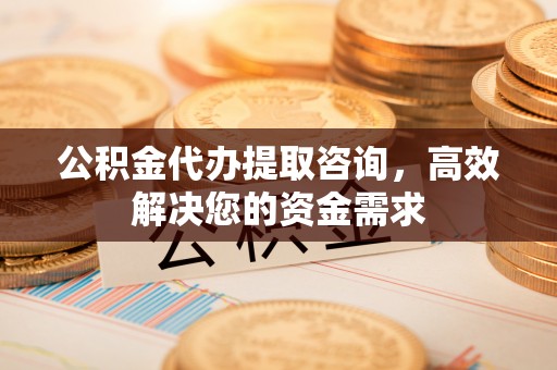 四湖公积金代办提取咨询，高效解决您的资金需求