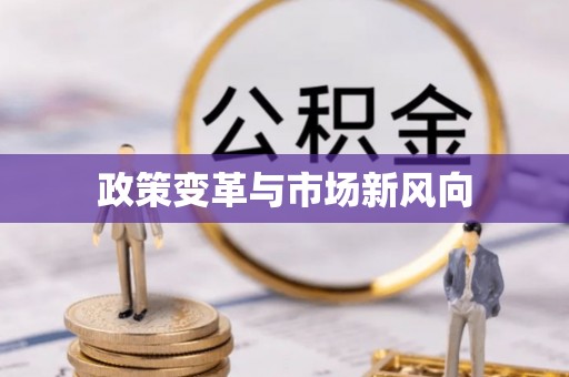 四湖政策变革与市场新风向