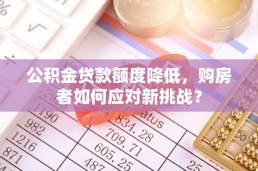 四湖公积金贷款额度降低，购房者如何应对新挑战？