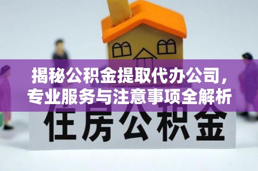 四湖揭秘公积金提取代办公司，专业服务与注意事项全解析