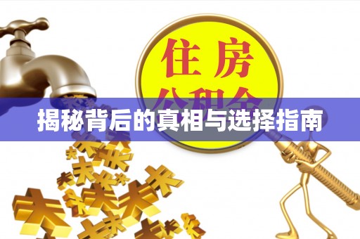 四湖揭秘背后的真相与选择指南
