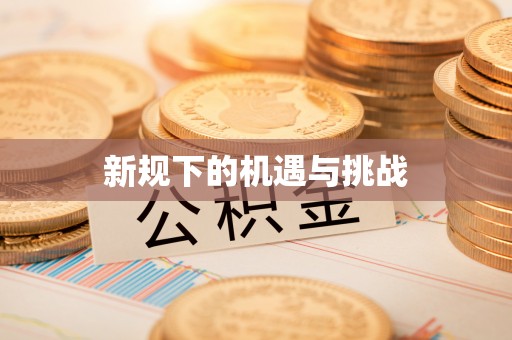 四湖新规下的机遇与挑战