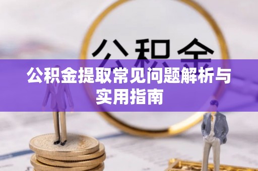 四湖公积金提取常见问题解析与实用指南