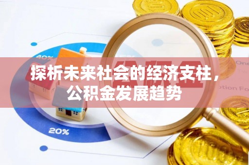 四湖探析未来社会的经济支柱，公积金发展趋势