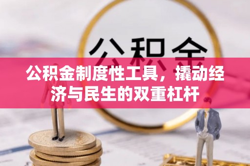 四湖公积金制度性工具，撬动经济与民生的双重杠杆