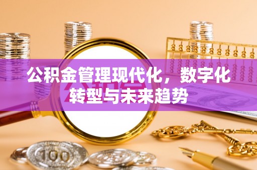 四湖公积金管理现代化，数字化转型与未来趋势