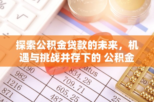 四湖探索公积金贷款的未来，机遇与挑战并存下的 公积金贷款风险防控