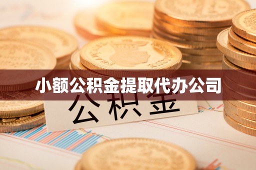 四湖小额公积金提取代办公司