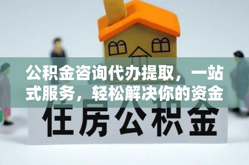 四湖公积金咨询代办提取，一站式服务，轻松解决你的资金难题