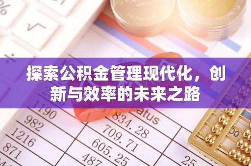 四湖探索公积金管理现代化，创新与效率的未来之路