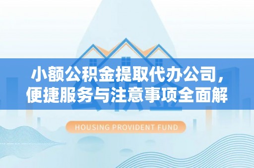 四湖小额公积金提取代办公司，便捷服务与注意事项全面解析