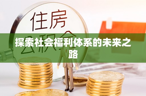 四湖探索社会福利体系的未来之路