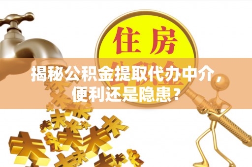 四湖揭秘公积金提取代办中介，便利还是隐患？