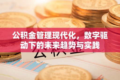 四湖公积金管理现代化，数字驱动下的未来趋势与实践