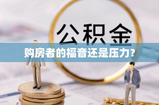 四湖购房者的福音还是压力？