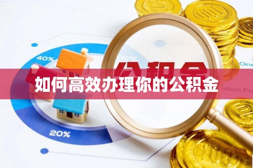 四湖如何高效办理你的公积金