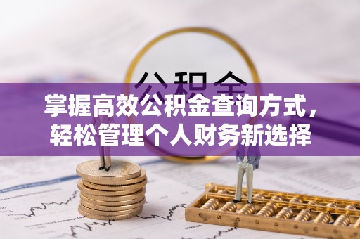 四湖掌握高效公积金查询方式，轻松管理个人财务新选择