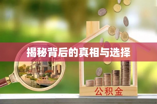 四湖揭秘背后的真相与选择