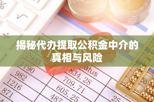 四湖揭秘代办提取公积金中介的真相与风险