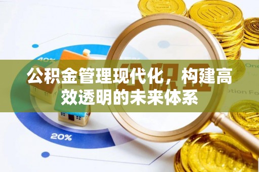 四湖公积金管理现代化，构建高效透明的未来体系