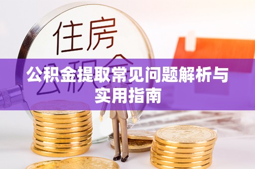 四湖公积金提取常见问题解析与实用指南