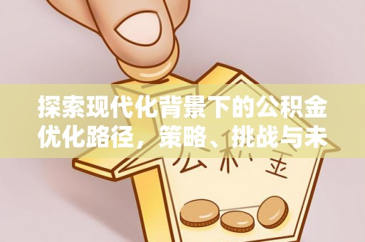 四湖探索现代化背景下的公积金优化路径，策略、挑战与未来展望