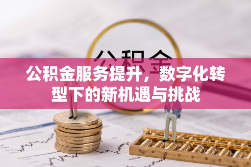 四湖公积金服务提升，数字化转型下的新机遇与挑战