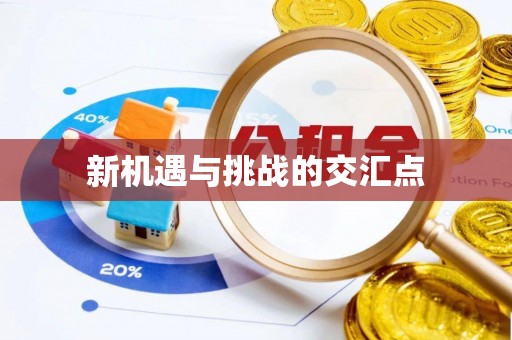 四湖新机遇与挑战的交汇点