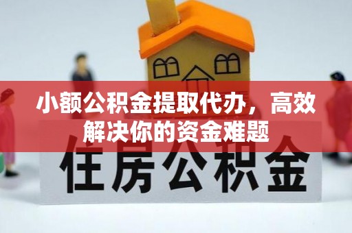 四湖小额公积金提取代办，高效解决你的资金难题
