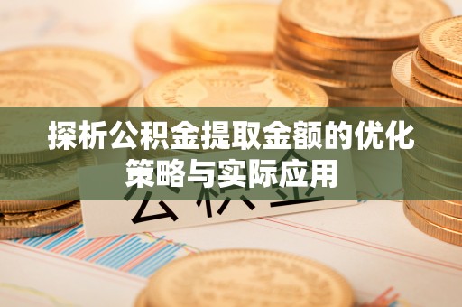 四湖探析公积金提取金额的优化策略与实际应用