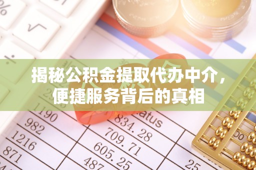 四湖揭秘公积金提取代办中介，便捷服务背后的真相