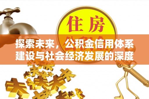 四湖探索未来，公积金信用体系建设与社会经济发展的深度融合
