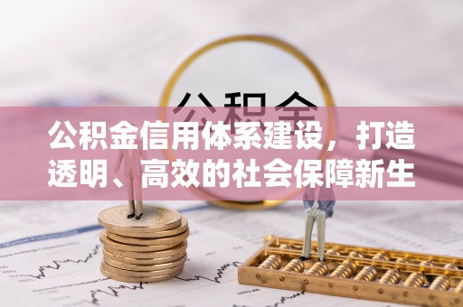 四湖公积金信用体系建设，打造透明、高效的社会保障新生态