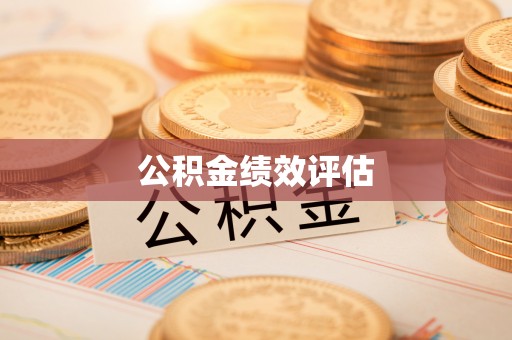 四湖公积金绩效评估