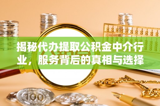 四湖揭秘代办提取公积金中介行业，服务背后的真相与选择指南