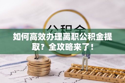 四湖如何高效办理离职公积金提取？全攻略来了！