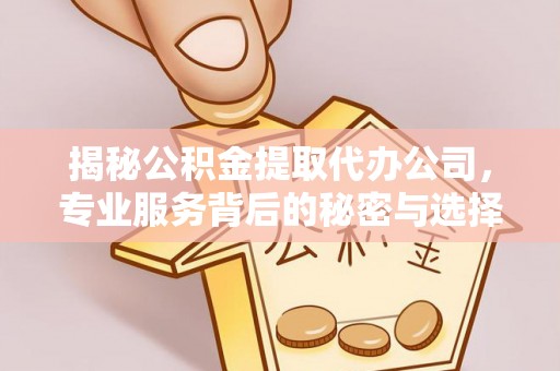 四湖揭秘公积金提取代办公司，专业服务背后的秘密与选择指南