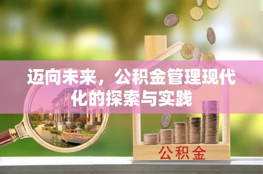 四湖迈向未来，公积金管理现代化的探索与实践