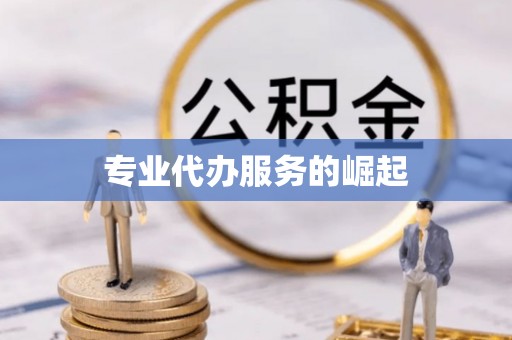 四湖专业代办服务的崛起