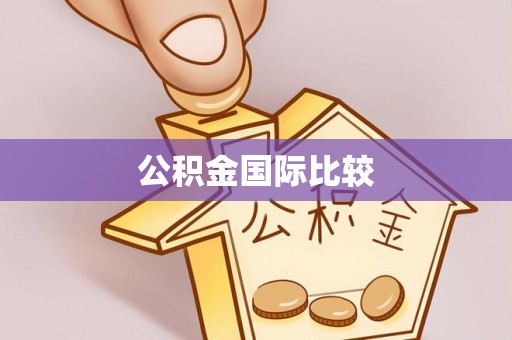 四湖公积金国际比较