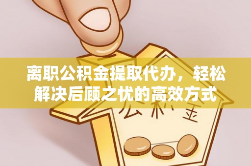 四湖离职公积金提取代办，轻松解决后顾之忧的高效方式