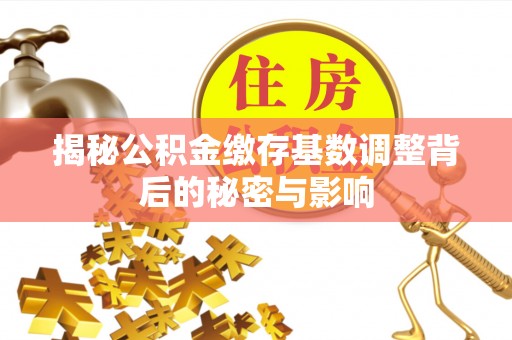 四湖揭秘公积金缴存基数调整背后的秘密与影响