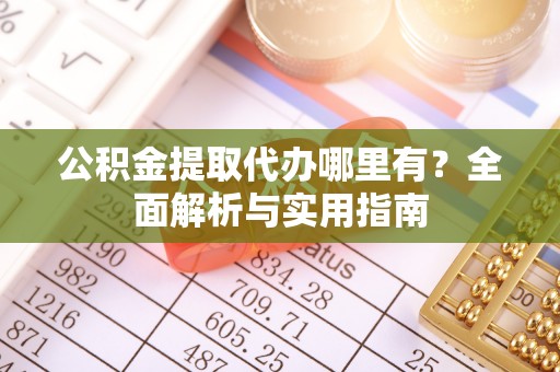 四湖公积金提取代办哪里有？全面解析与实用指南