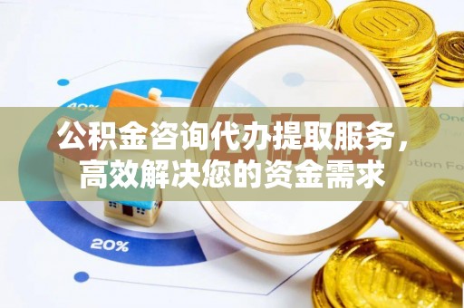 四湖公积金咨询代办提取服务，高效解决您的资金需求
