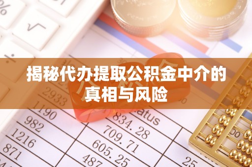 四湖揭秘代办提取公积金中介的真相与风险