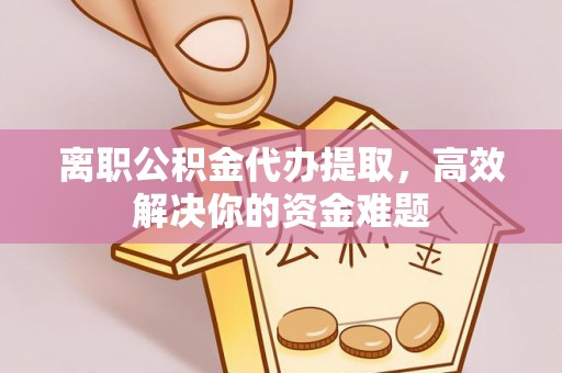 四湖离职公积金代办提取，高效解决你的资金难题
