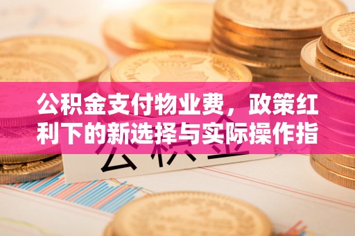 四湖公积金支付物业费，政策红利下的新选择与实际操作指南