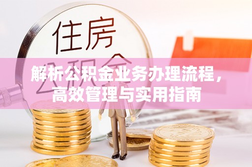 四湖解析公积金业务办理流程，高效管理与实用指南