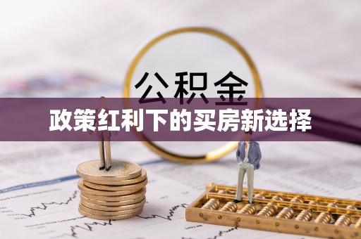 四湖政策红利下的买房新选择